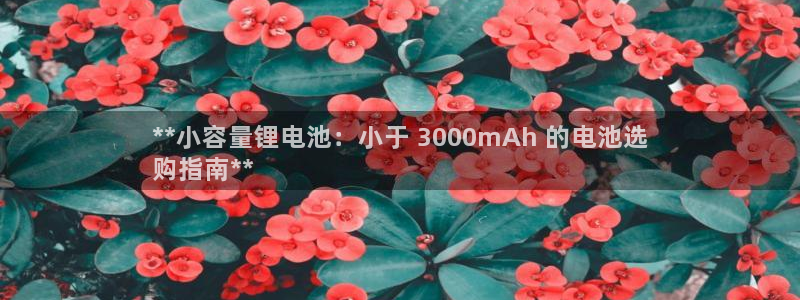 尊龙D88现金旧版：**小容量锂电池：小于 3000mAh 的电池选
购指南**