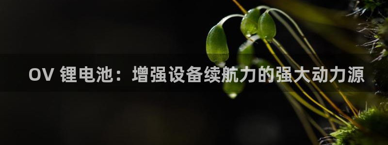 凯时app赢AG发财网来就送38