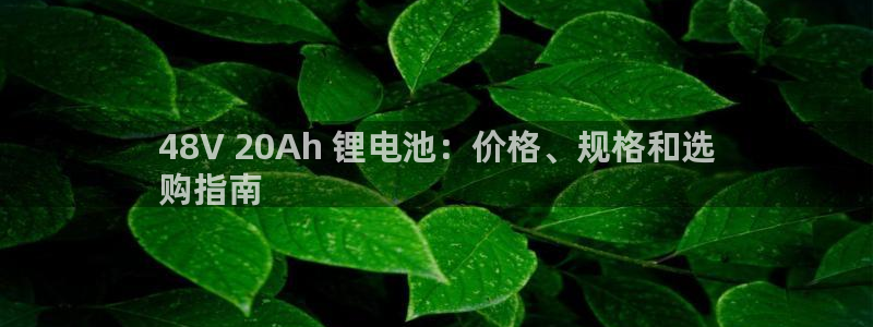 Z6尊龙凯时登录：48V 20Ah 锂电池：价格、规格和选
购指南