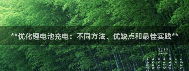 尊龙d88用现推选ag发财网：**优化锂电池充电：不同方法、优缺点和最佳实践**