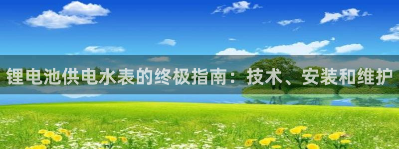 尊龙官网网页版：锂电池供电水表的终极指南：技术、安装和维护